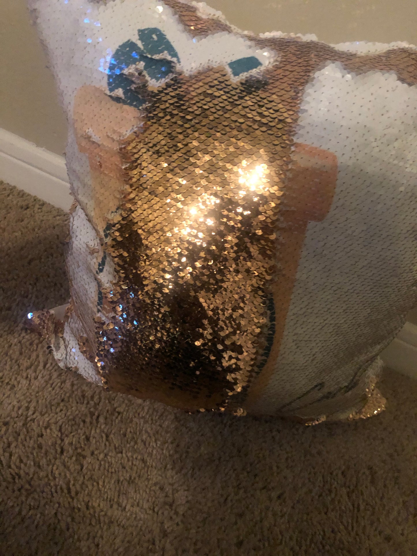 Custom Sequin Pillow